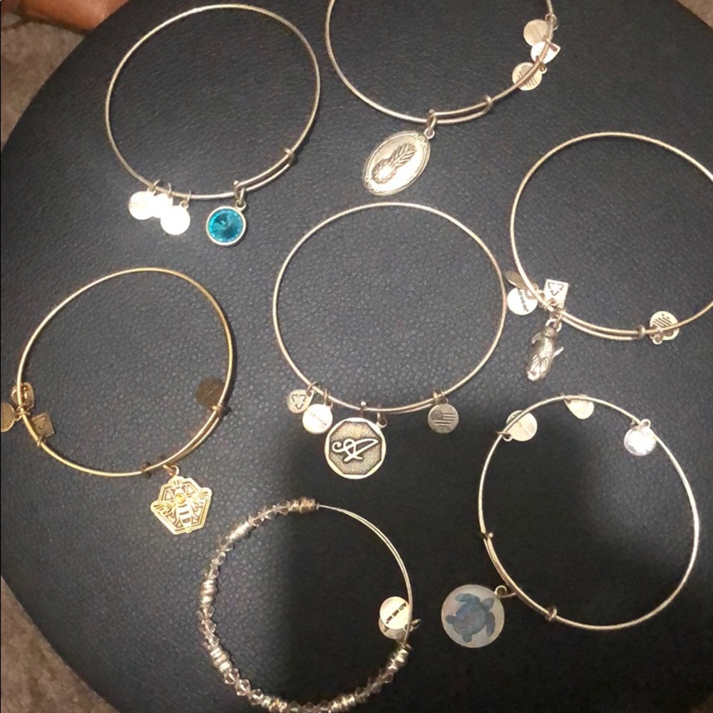 ALEX AND ANI